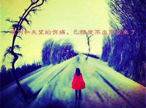 关于水利系毕业生自荐信