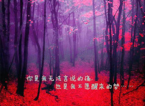 青春简短励志日志