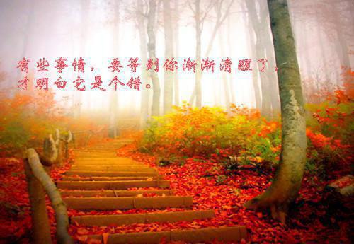 毕业典礼的邀请函三篇