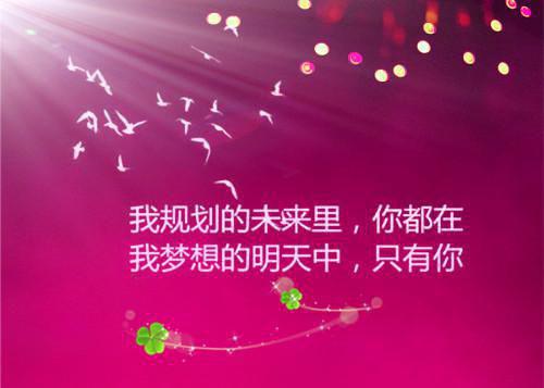 信息工程专业的求职信范文