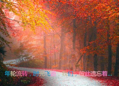 【热门】给父母的感谢信集合5篇