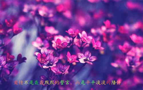 生日宴邀请函