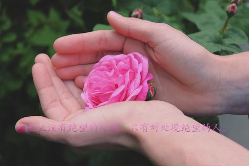 心理学求职信范文4篇