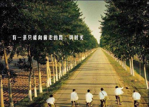 关于周杰伦卖咸菜发大财的故事