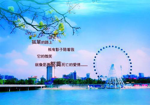 财会暑期社会实践