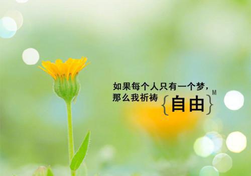 展望未来的诗句——《宣州谢朓楼饯别校书叔云》