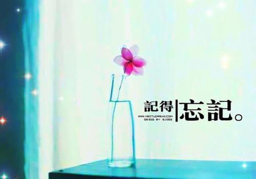 2023检察院党支部换届工作报告