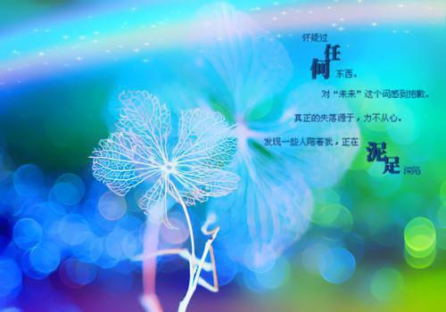 给老婆写一封情书
