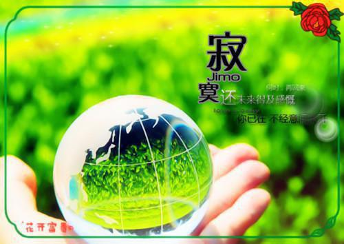 关于城市管理情况的工作报告