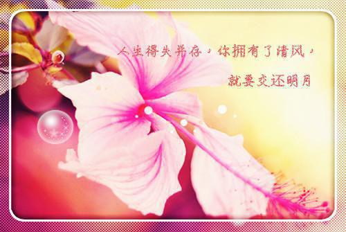 表白的数字情书