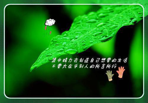有关后宫的历史故事：姐妹花之珍妃和瑾妃