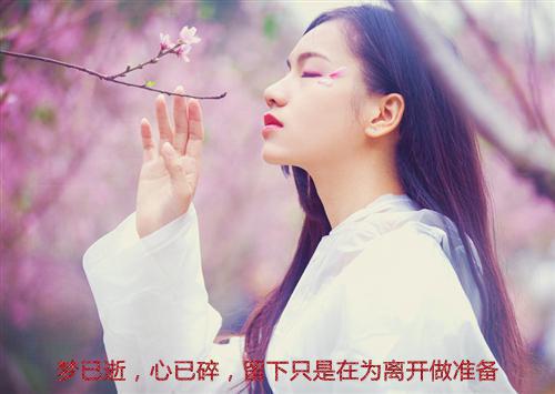关于雪的诗句——《杜工部蜀中离席》
