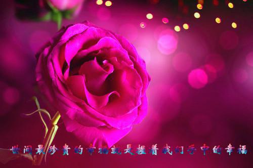 孤独伤感的个性签名2023最新 有天我睡醒看到我的身边没有你