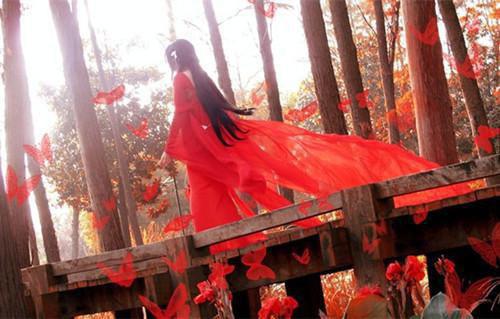 师德师风自查报告范文【精】