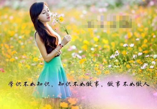 交通局行政执法工作报告
