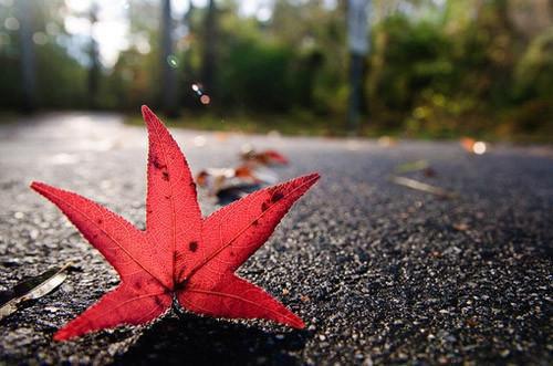 仓库管理员求职信范文