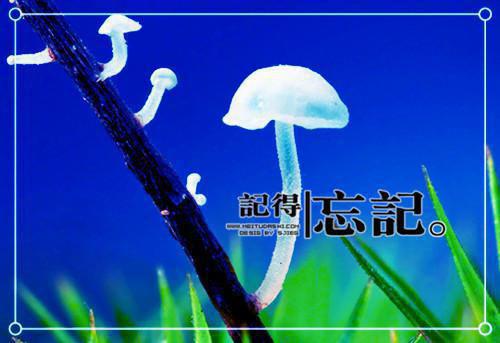 通讯专业毕业生英文求职自荐信