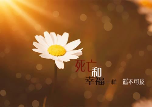 2023唯美爱情英文名言
