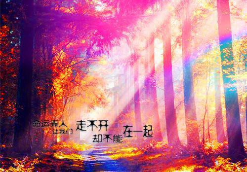 同学聚会的邀请函范文