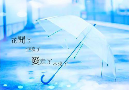 幼儿园顶岗实习心得体会