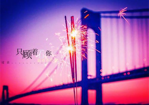 小学教师党员公开承诺书