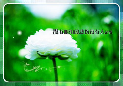 毕业求职自荐信范文集锦9篇