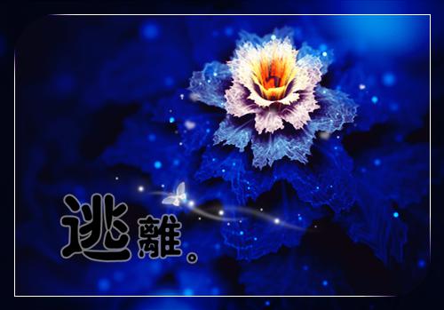 餐饮业社会实践报告