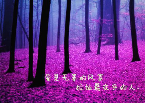 后备干部自荐信