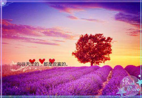 2023年8月社会实践报告3