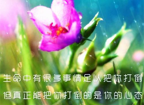 春季服装订货会邀请函