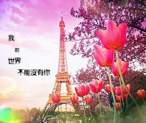 有关于写给公司的感谢信