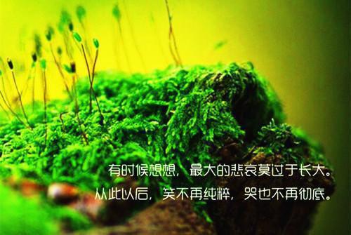 关于爱情的英语名言名句