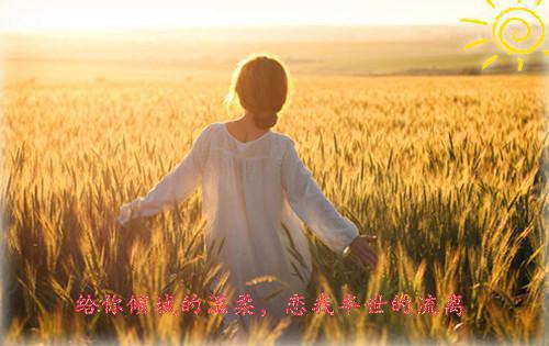 师德师风教育学习自查报告