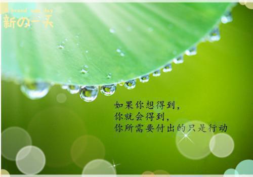 关于财务会计实践报告结尾汇总