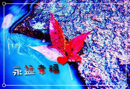 婚后写给老公的情书