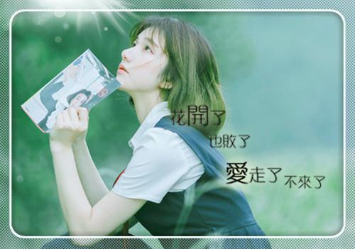 纪今安陆宴：结局+番外宝藏文全篇一口气_早期章节+后续（契约婚姻到期，陆总他不离了）