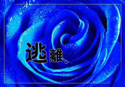 实用的销售求职信范文集合9篇