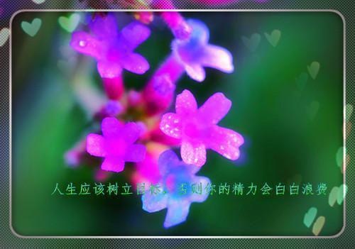 农业项目自查自纠材料报告范文