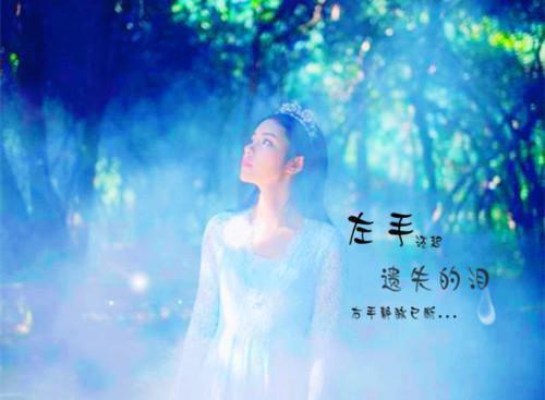 寒假汽车专业社会实践总结报告