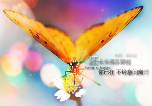 勤奋的励志故事