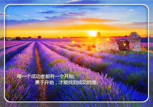 财务会计大学生求职信范文