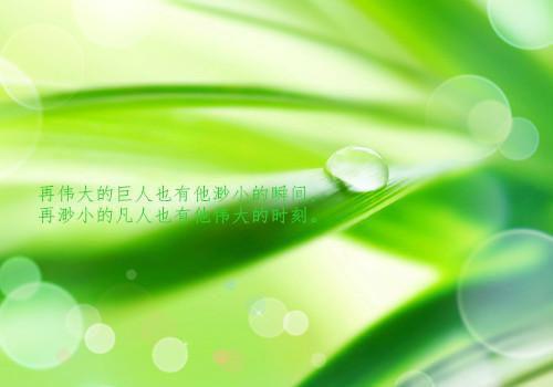 商务英语专业求职信4篇