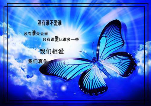 写给清洁工的感谢信