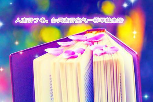 写一封自荐信2篇