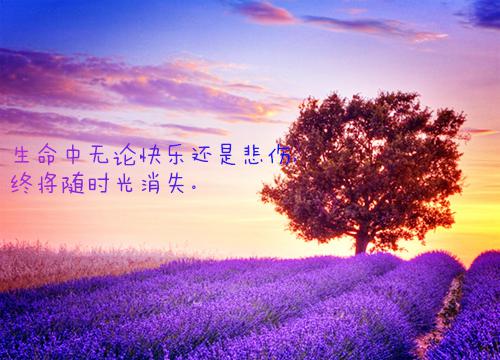 关于学生打架的检讨书范文