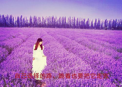 日语爱情名言