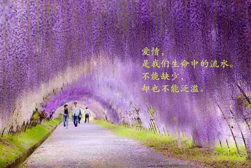 【精华】会计专业求职信范文锦集7篇