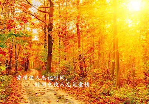 关于致医院的感谢信四篇