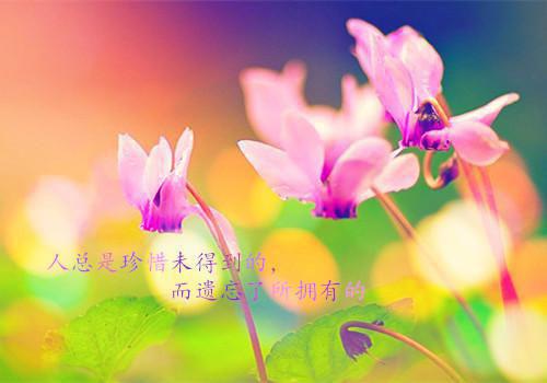 县长关于做好群众工作的自查报告