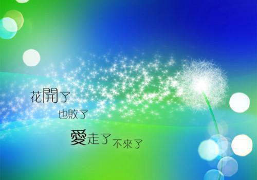 最新财务自查自纠报告